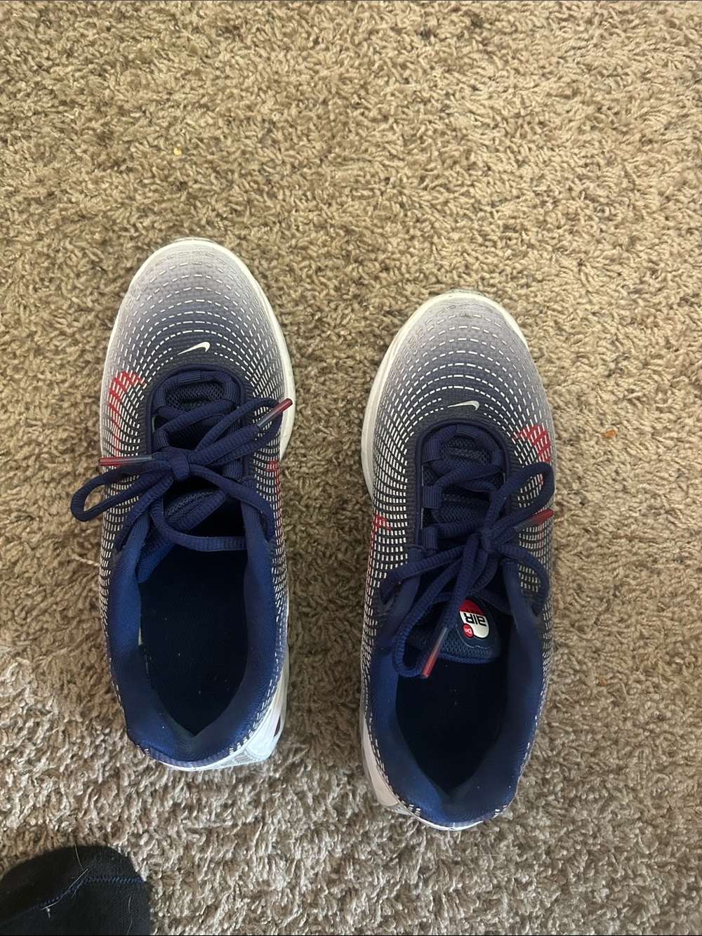 Nike Kids Navy, White and Red Gradient Sneakers